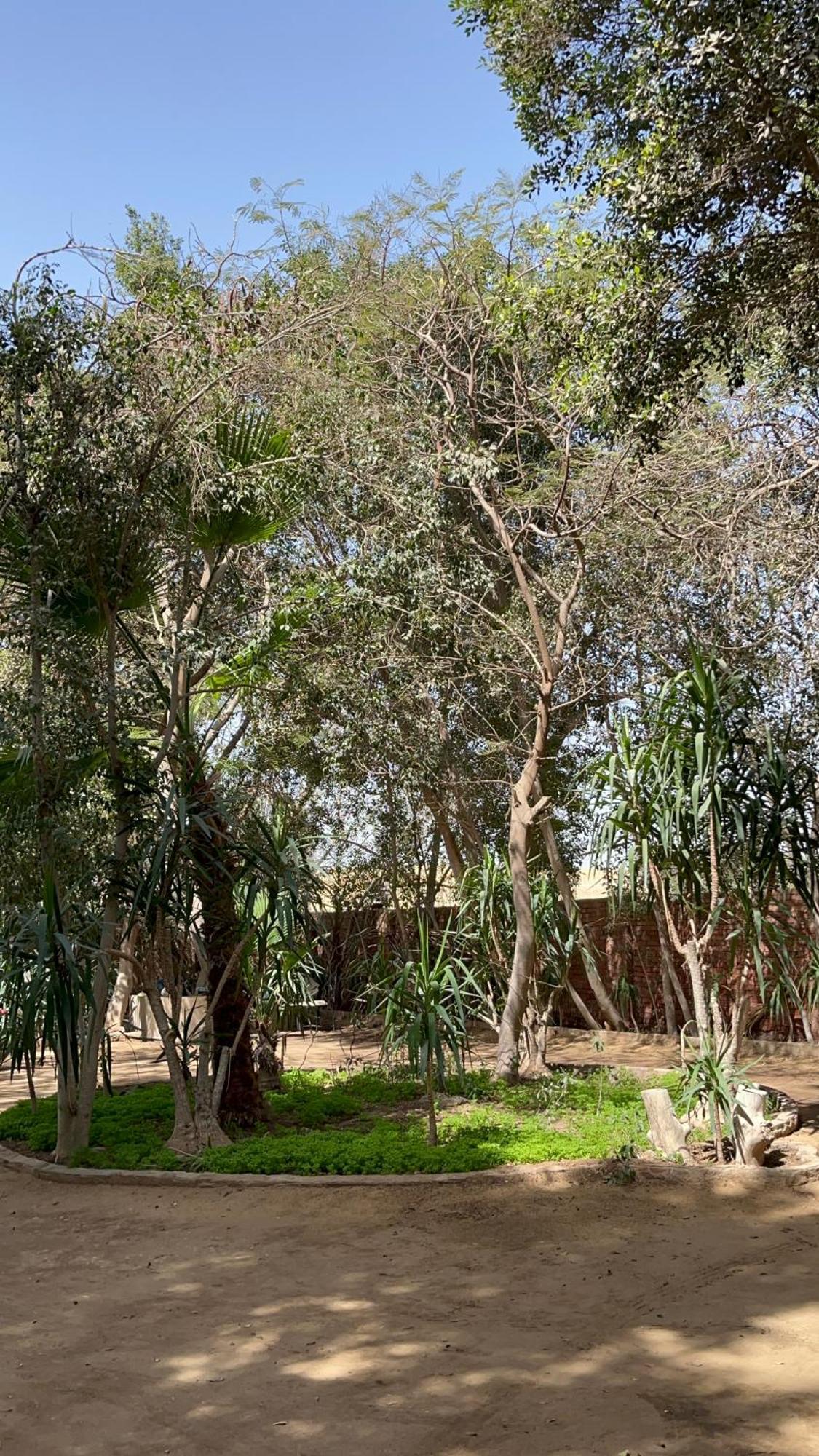 Villa By The Pyramids Кайро Екстериор снимка