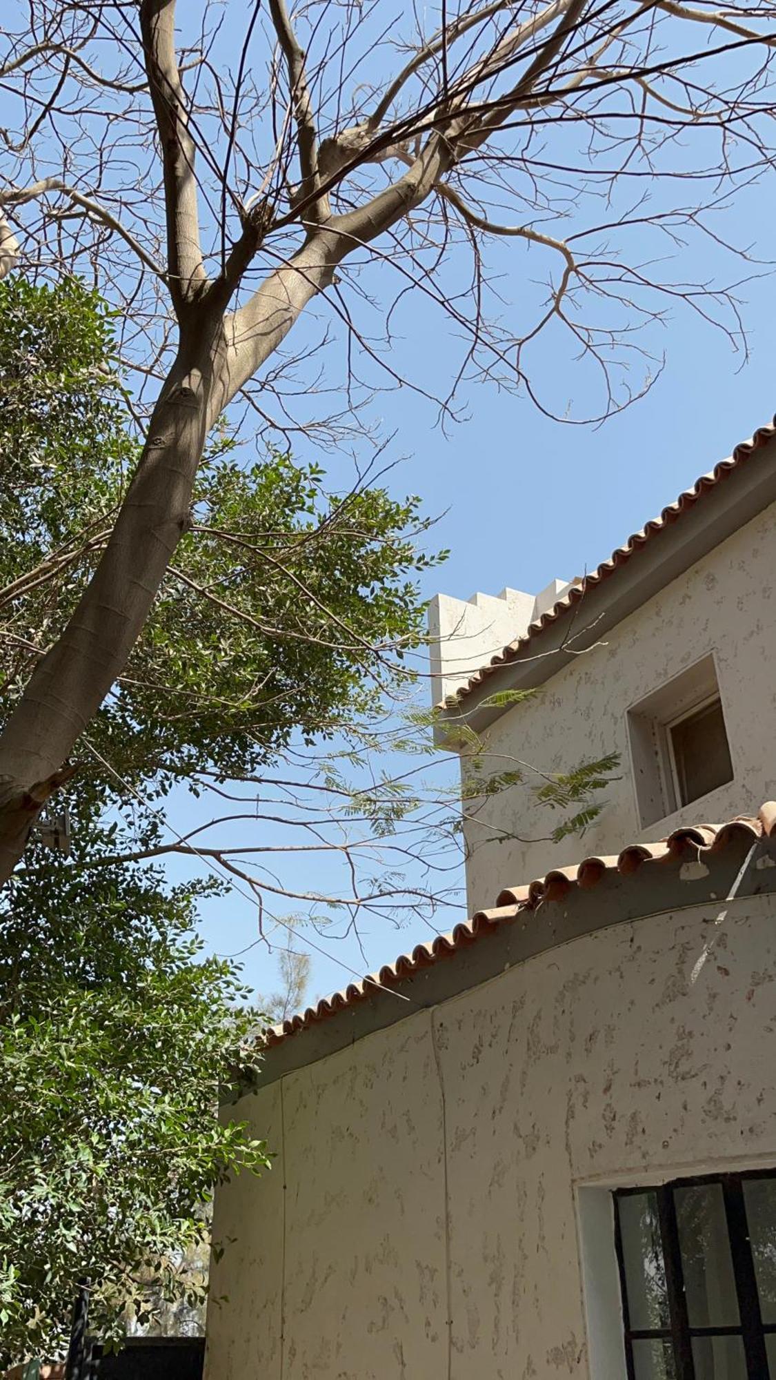 Villa By The Pyramids Кайро Екстериор снимка